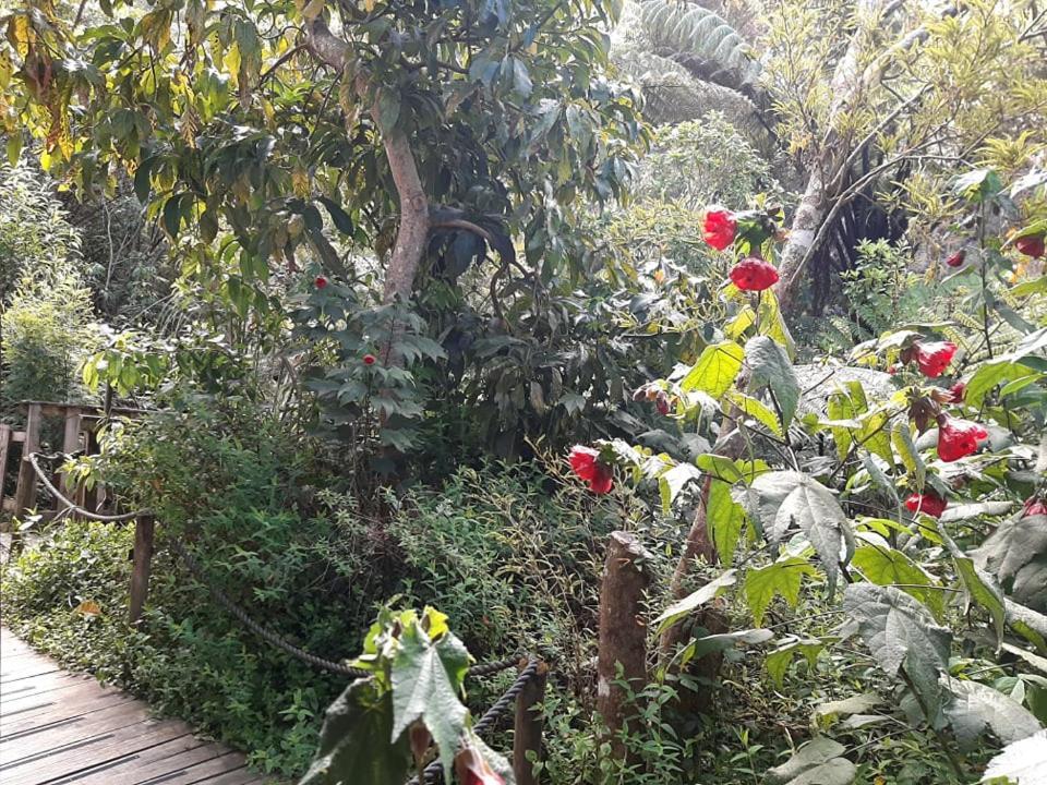 Buena Vista Apartment Marahau Luaran gambar